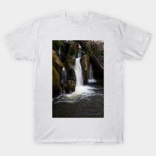 Taggerty Cascades #5 T-Shirt